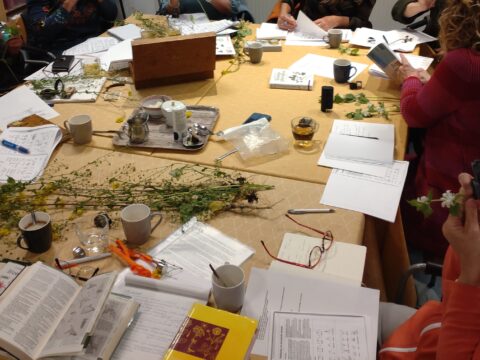 Een groep mensen onderzoekt planten aan een tafel met boeken, notities en kopjes.