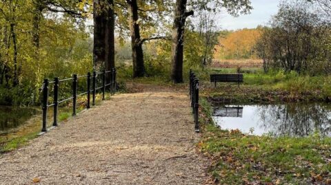 Pad met brug en bankje in een herfstbos, omgeven door bomen en vijvers.