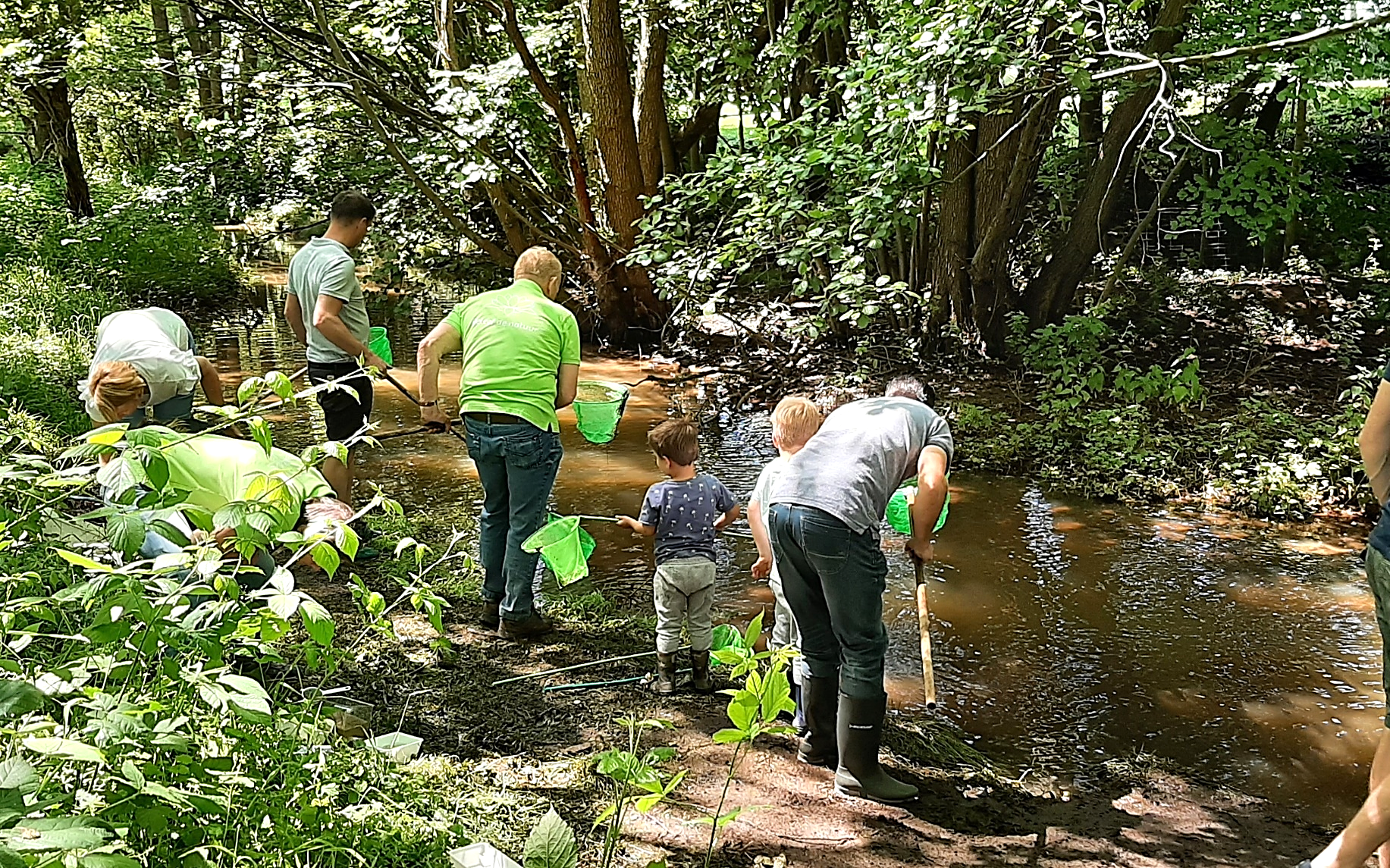Mensen met groene schepnetten zoeken naar insecten in een beek in een bosrijke omgeving.