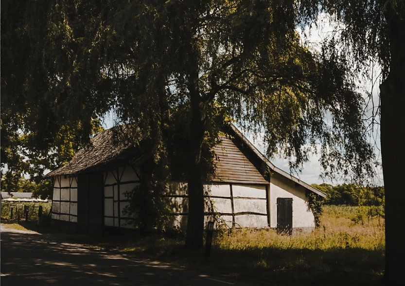 Wit vakwerkhuis omgeven door hoge bomen, gelegen aan een landelijke weg bij zonnig weer.