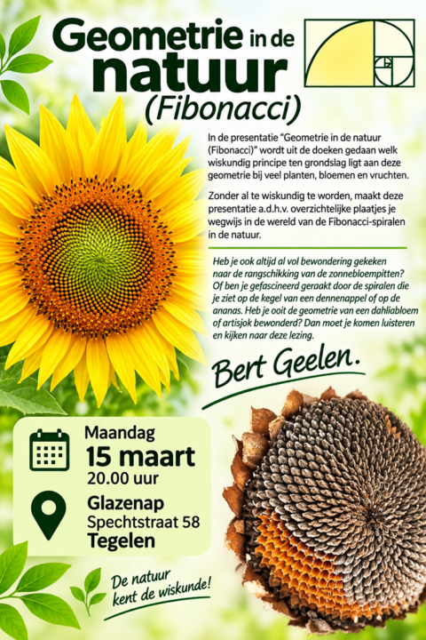 Poster voor lezing "Geometrie in de natuur" op 15 maart, 20:00 uur, Glazenap, Tegelen.
