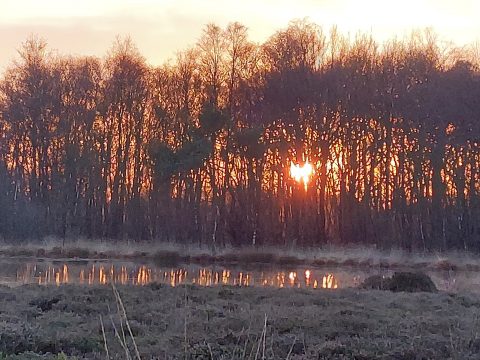 Van de Natuurgids, nieuwe rubriek 2022