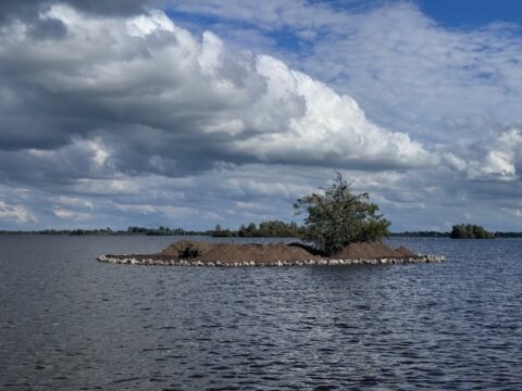 Kleine eilandje met boom, omgeven door water en bewolkte lucht erboven.