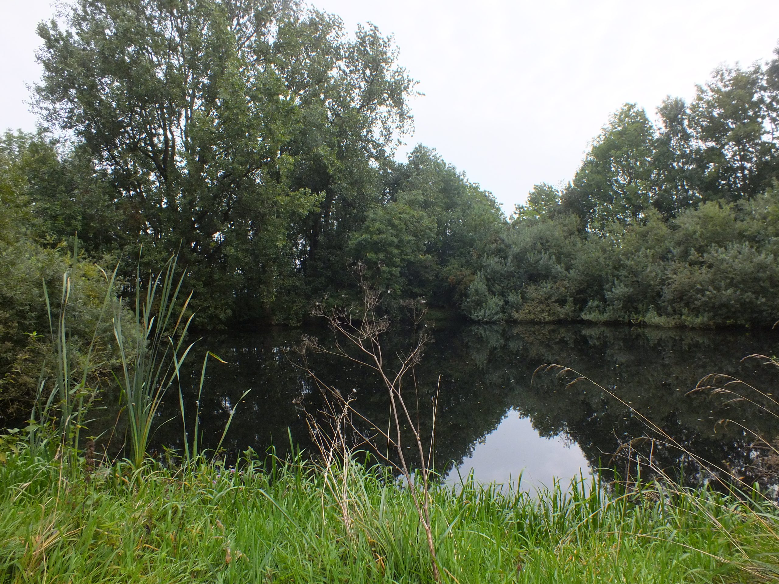 Harstewei excursie Jistrum