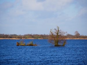 Tike eilandjes in verval