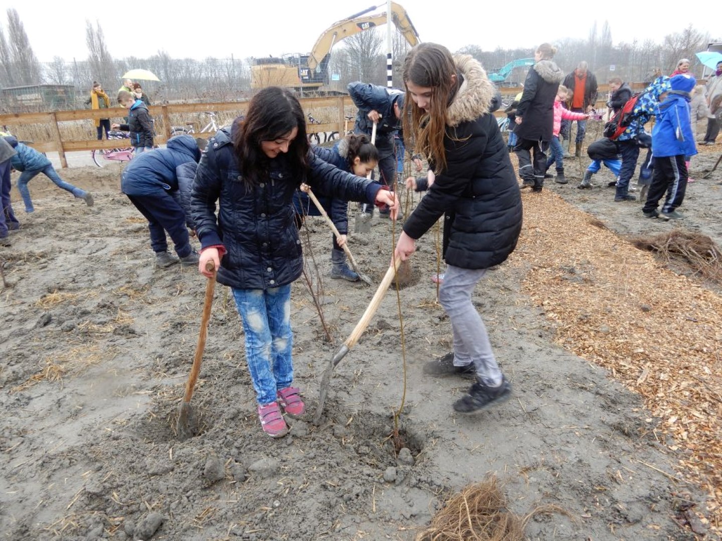 Het eerste Tiny Forest op een eiland is een feit