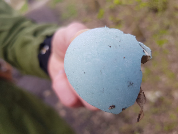 Lente ontdektocht