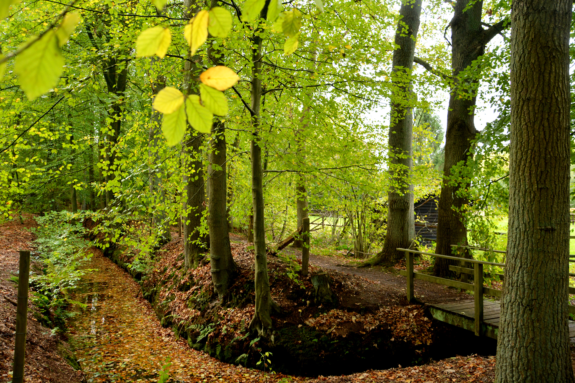 Meld je aan voor de Natuuroudercursus!