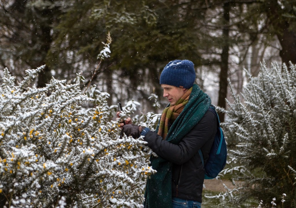 Persoon inspecteert besneeuwde struiken in een winterbos, draagt een blauwe muts en sjaal.