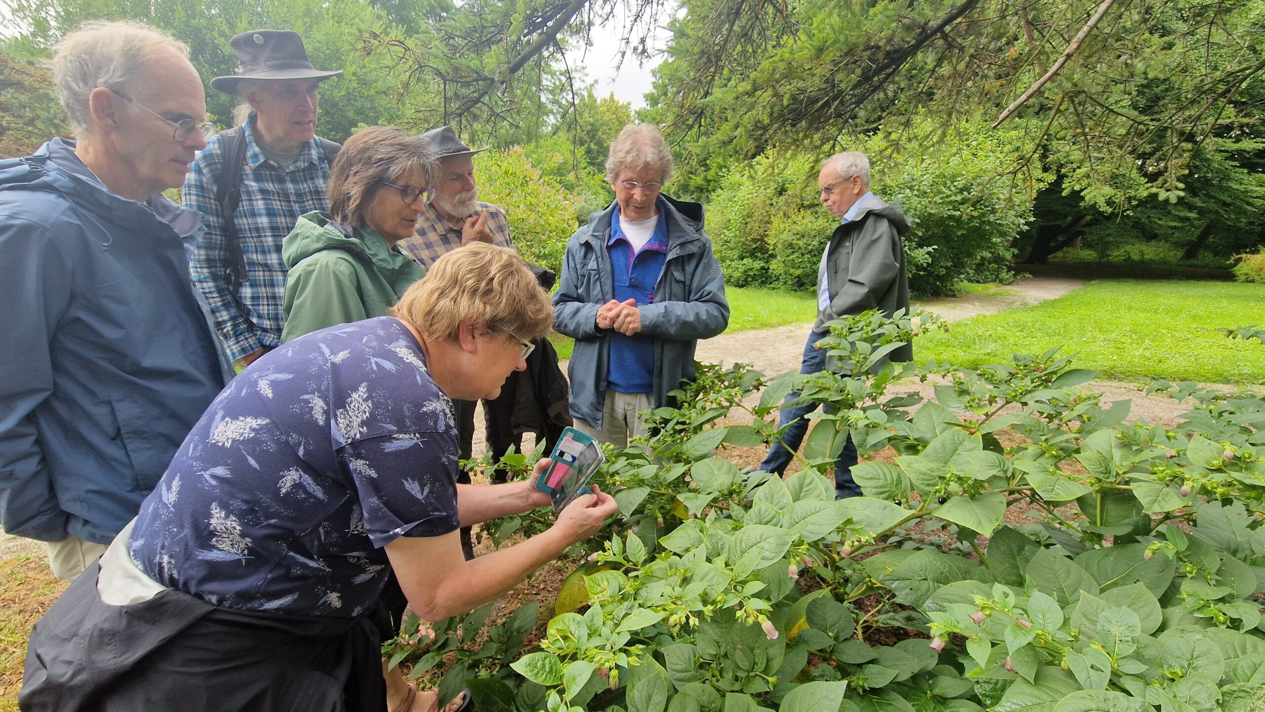 Groep mensen observeert planten in een park, één persoon maakt foto's van het groen.