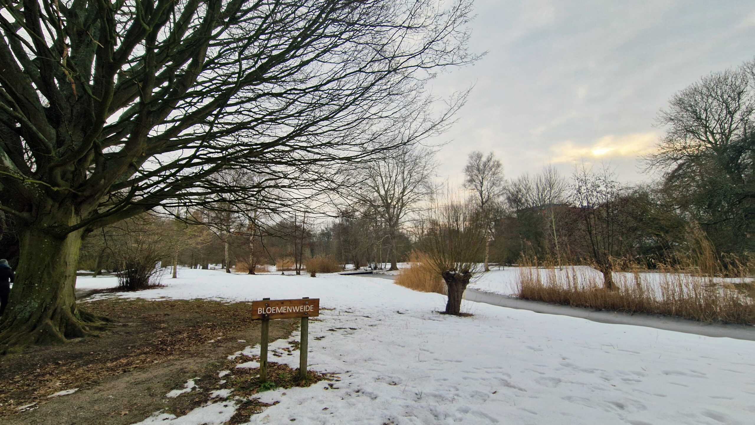 Sneeuw bedekt bloemenweide met kale bomen, bord met "BLOEMENWEIDE," en een smalle bevroren sloot.