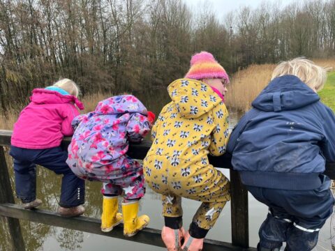 Vier kinderen in kleurrijke regenjassen kijken over een brugleuning naar het water, omringd door bomen.
