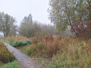 Kreek, bruggetje, bomen en struiken in het Abtswoudse Bos