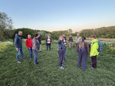 Groep mensen wandelt in een groen veld met bloemen en bomen onder een heldere, blauwe avondlucht.