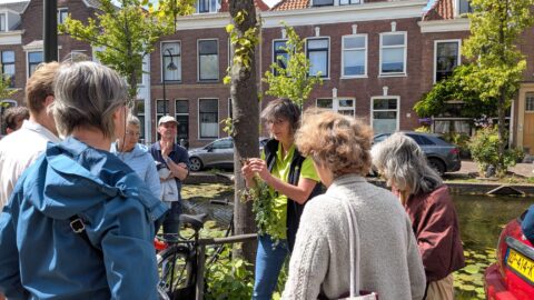 Een groep mensen luistert naar een gids die planten toont bij een kanaal in een zonnige straat.