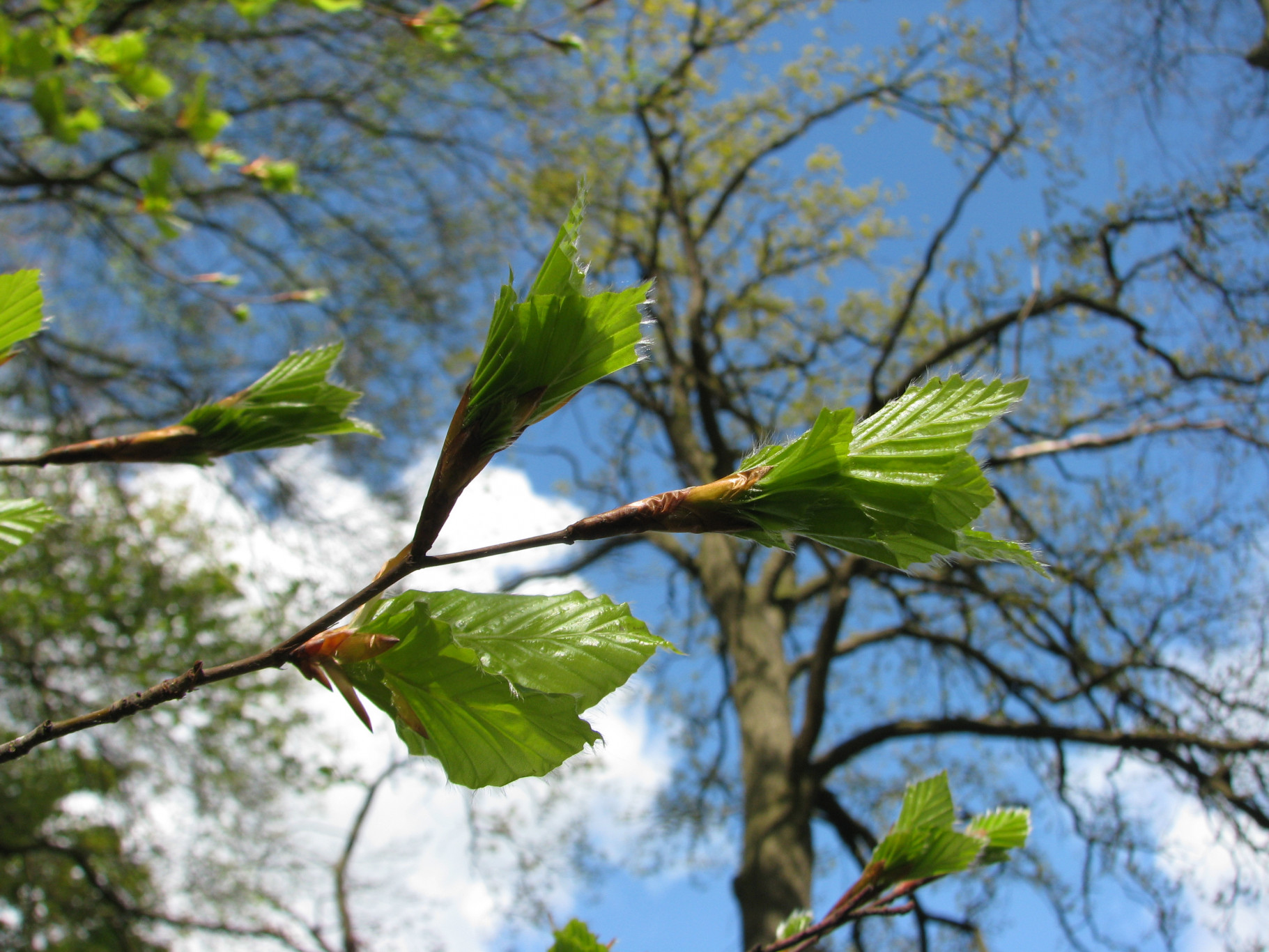 Natuurcursus