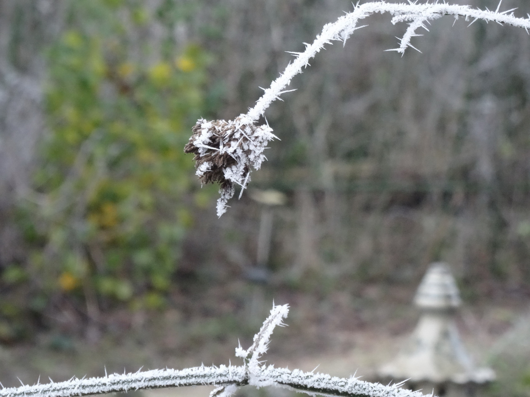 Jeugd Dronten Winterwandeling