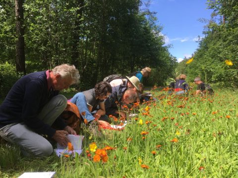 Leren over de natuur