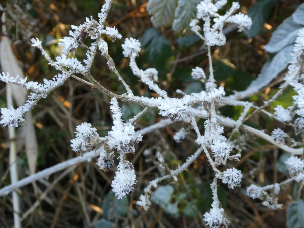 December 2022 – Winterrijp