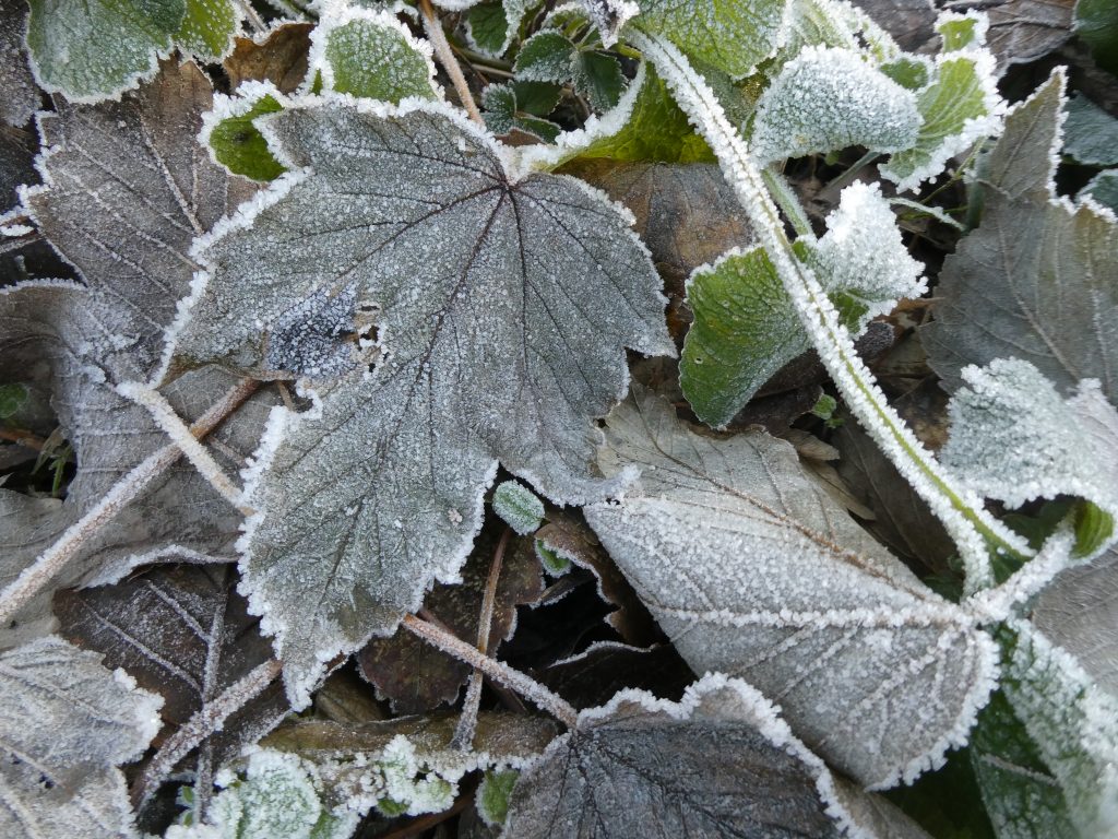 December 2022 – Winterrijp