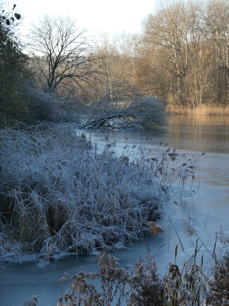 December 2022 – Winterrijp