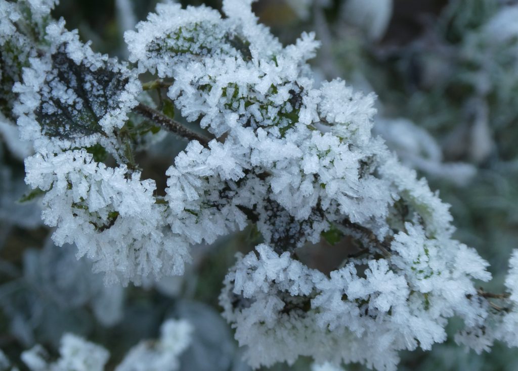 December 2022 – Winterrijp