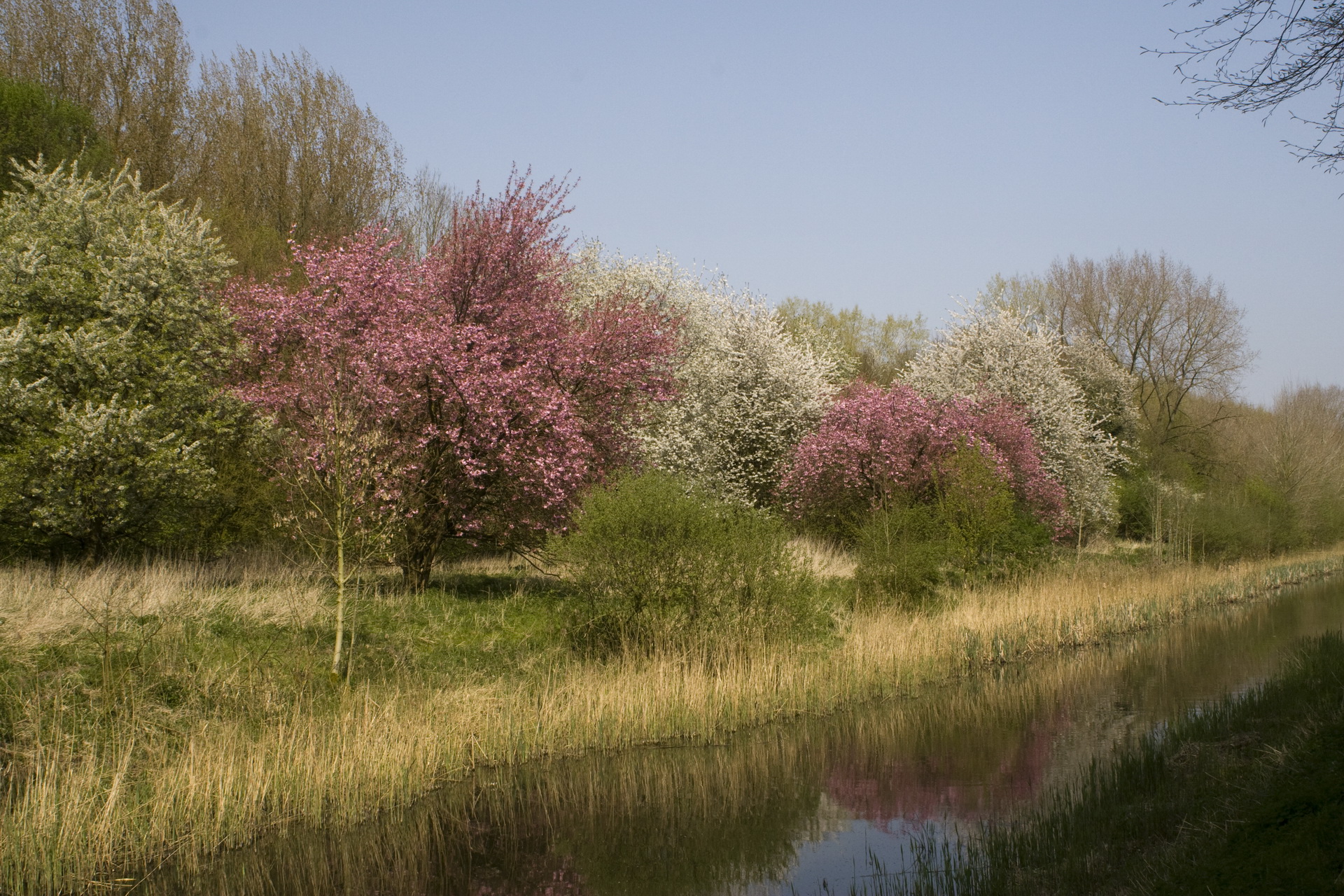 Natuurcursus voorjaar