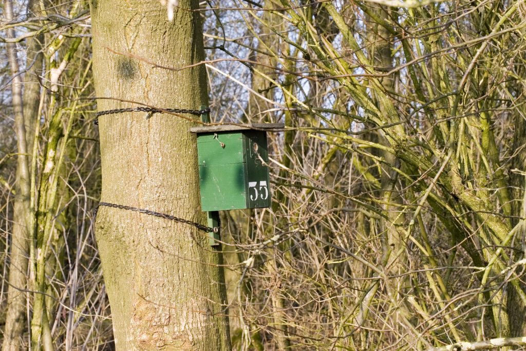 WG Natuurpad Wisentbos