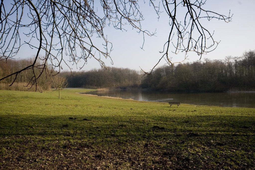 WG Natuurpad Wisentbos