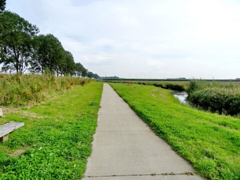 Rechte betonnen wandelpad door groene weide met bomen links en water rechts onder heldere lucht.