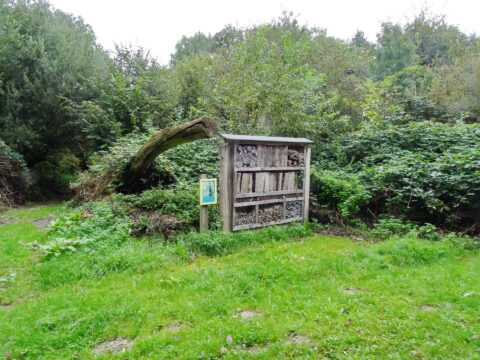 Insectenhotel in een groene bosrijke omgeving, omgeven door dichte struiken en bomen.
