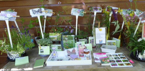  natuurkoffer vlinders