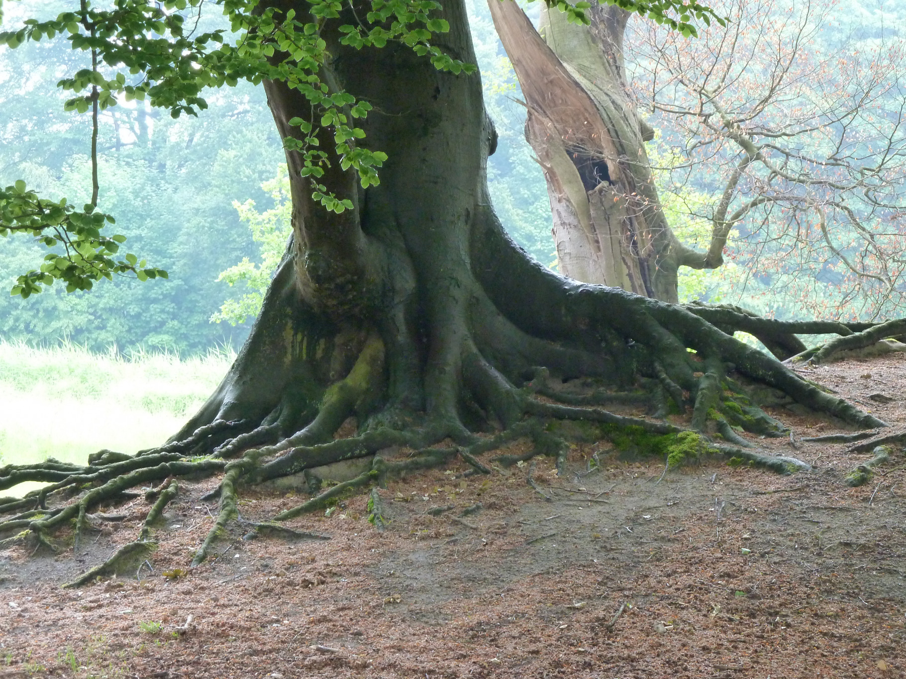 Excursie De Horsten