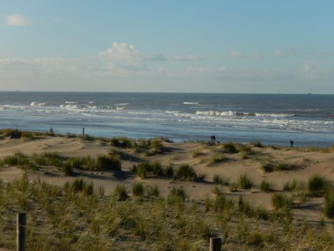 Excursie Westduinpark