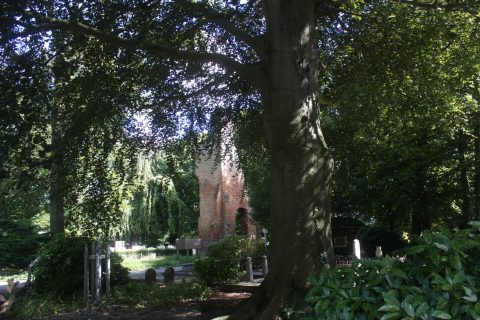 Excursie Begraafplaats Oud Eik en Duinen