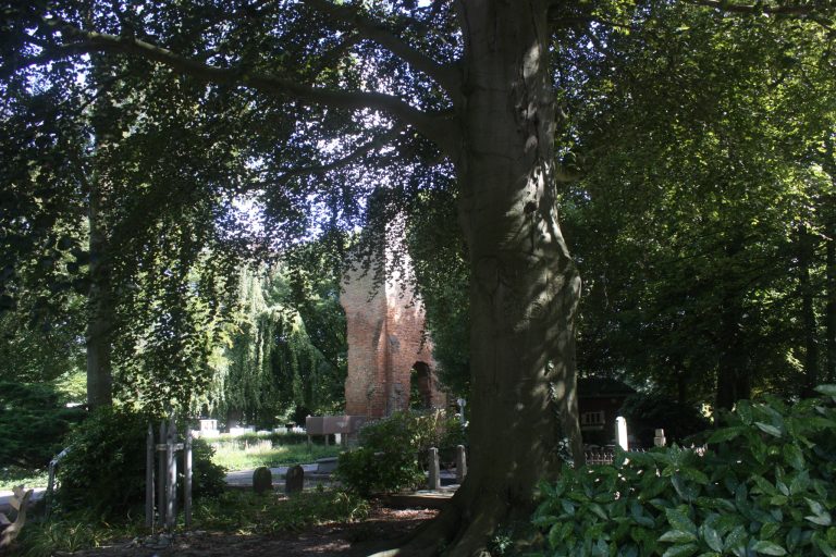 Excursie Begraafplaats Oud Eik en Duinen - IVN