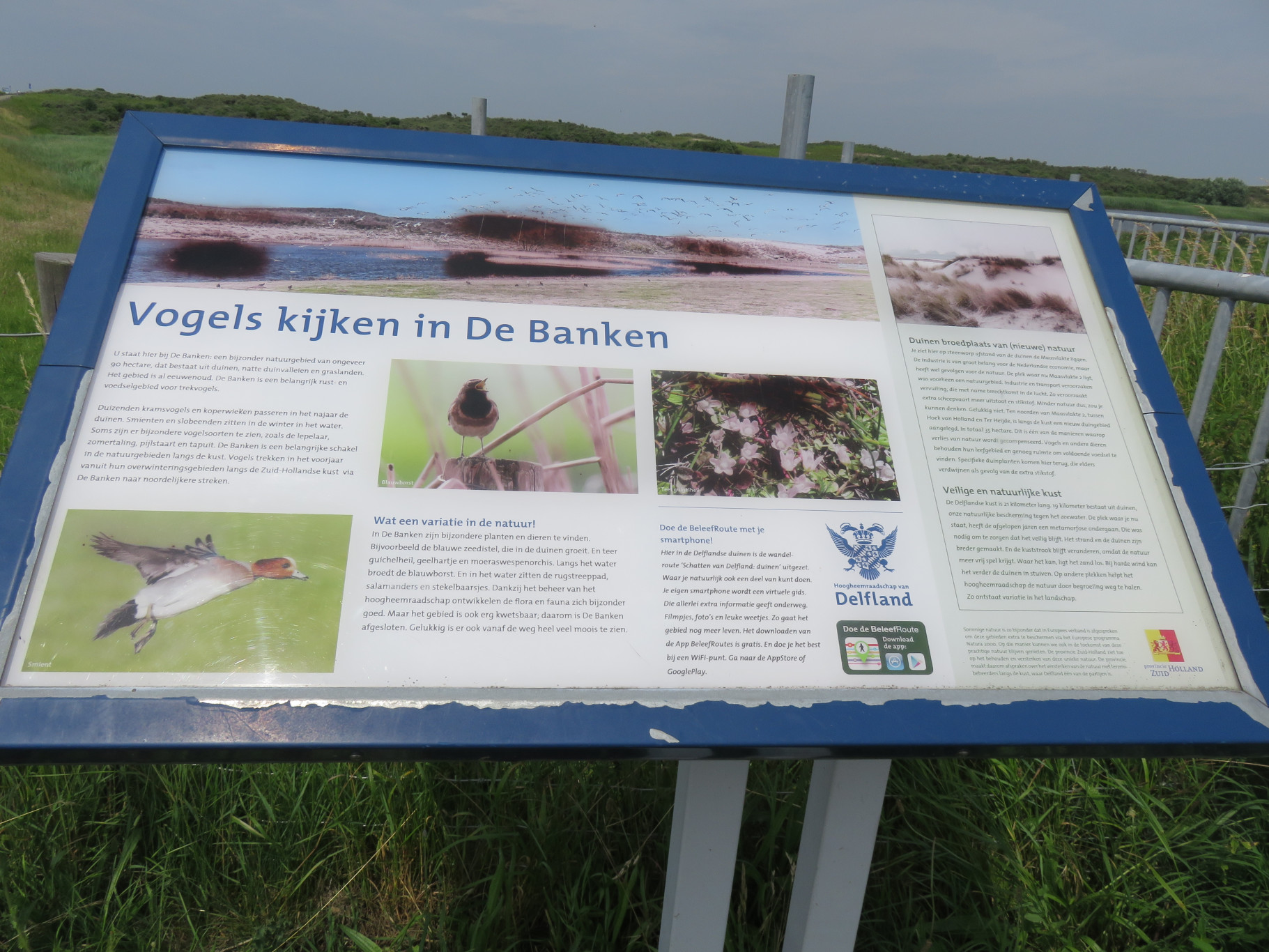 Excursie De Banken