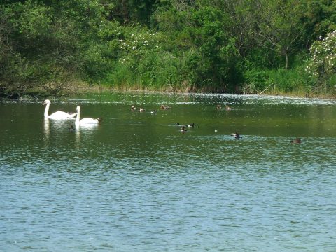 Excursie Meijendel