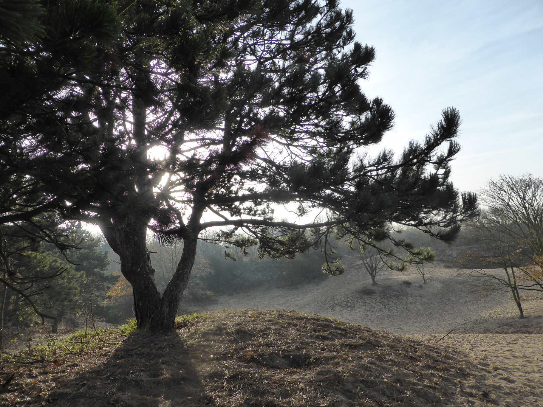 Excursie Westduinpark