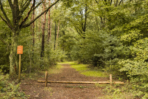 Bosrijk pad met afsluiting en bord aan een boom, omgeven door groene bomen en struiken.