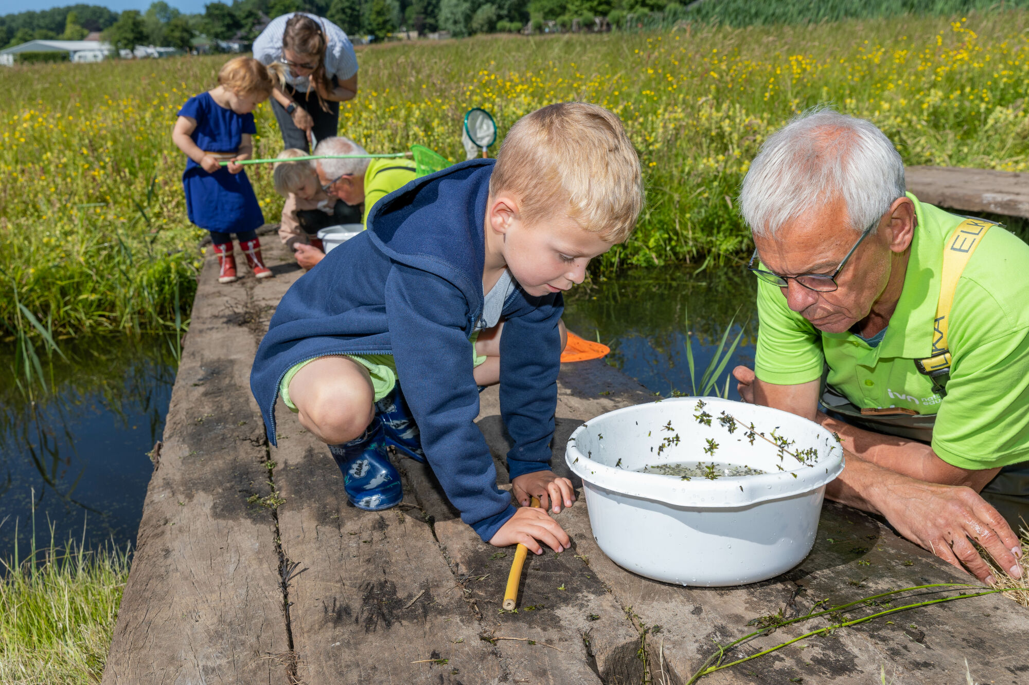 Kinderen en een volwassene onderzoeken waterleven in een witte bak bij een vijver in een bloemenweide.