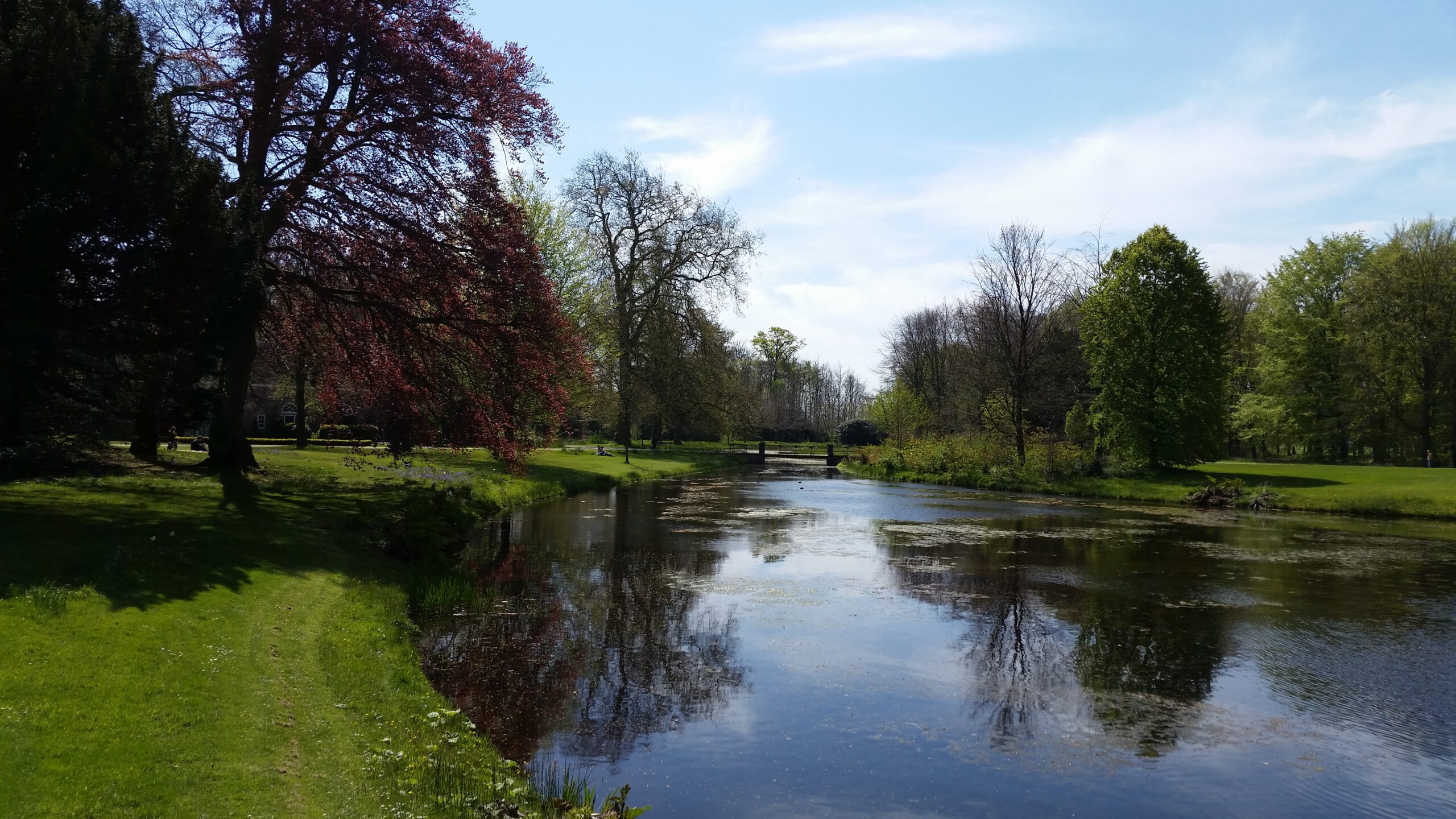 Parklandschap met rustige vijver, groene bomen en blauw lucht.