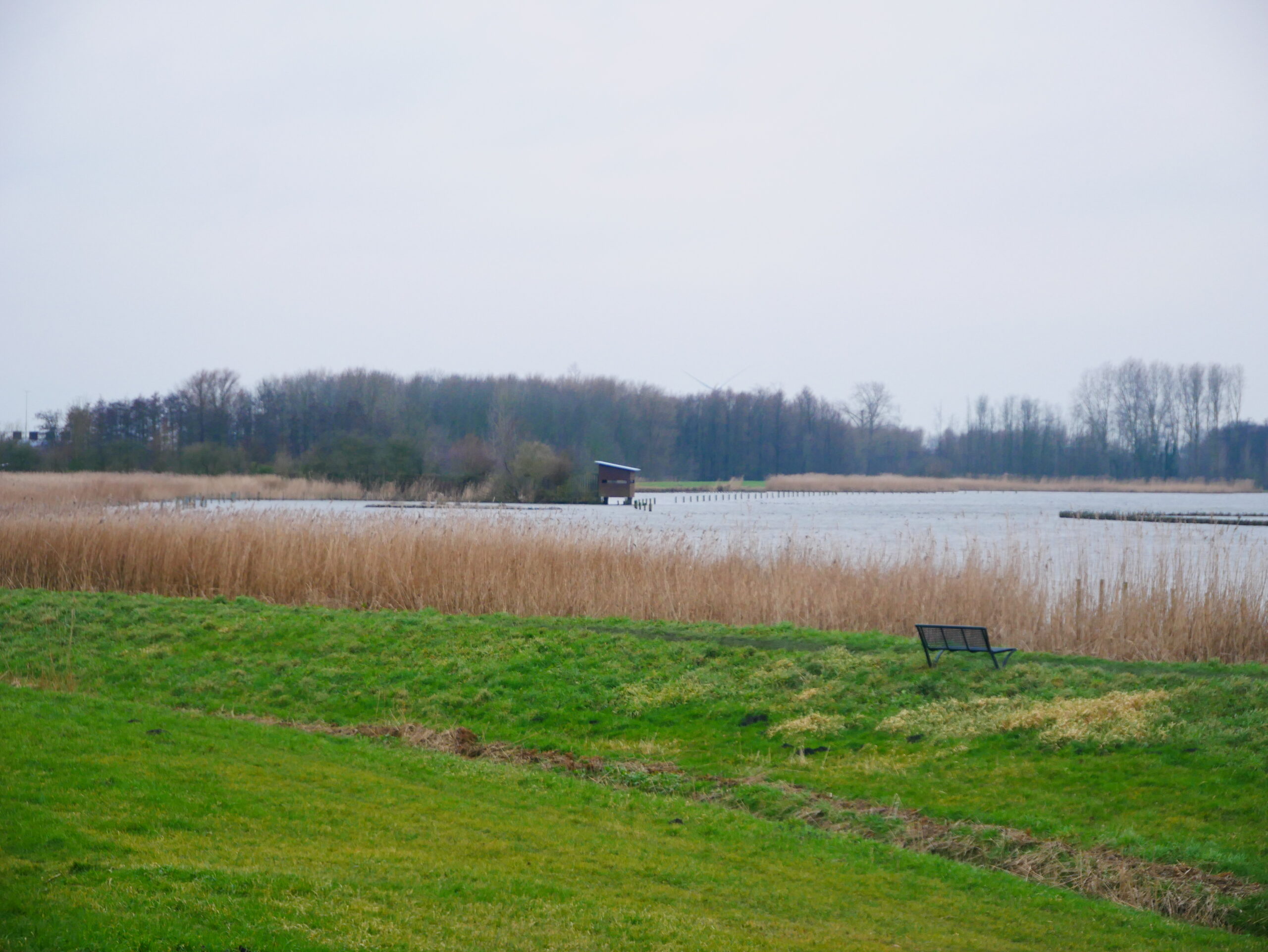 Natuurlandschap met water, riet, gras, een houten hut en een bankje aan de oever.