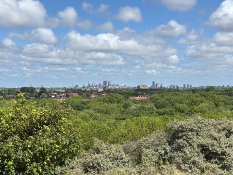 Uitzicht op groene bomen en bos met in de verte een stadssilhouet tegen een blauwe, bewolkte hemel.