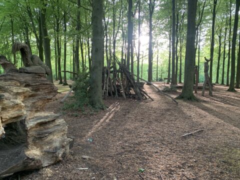 Bos met houten kunstopstellingen en speeltoestellen, zonlicht schijnt door de bomen.