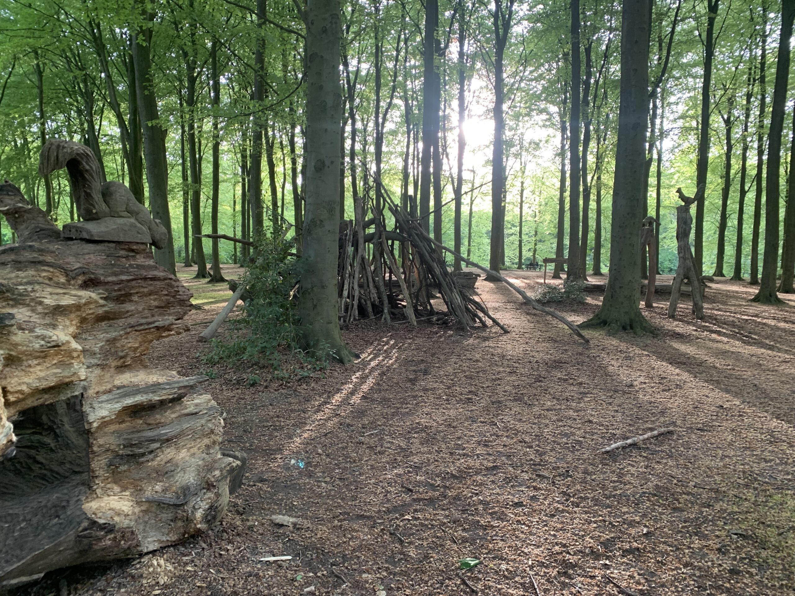 Bos met houten kunstopstellingen en speeltoestellen, zonlicht schijnt door de bomen.