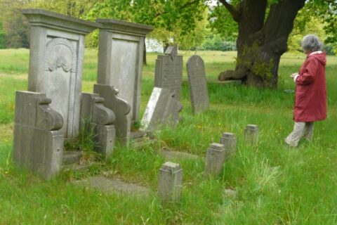Oude grafstenen in grasveld, persoon in rode jas staat ernaast onder een grote boom.