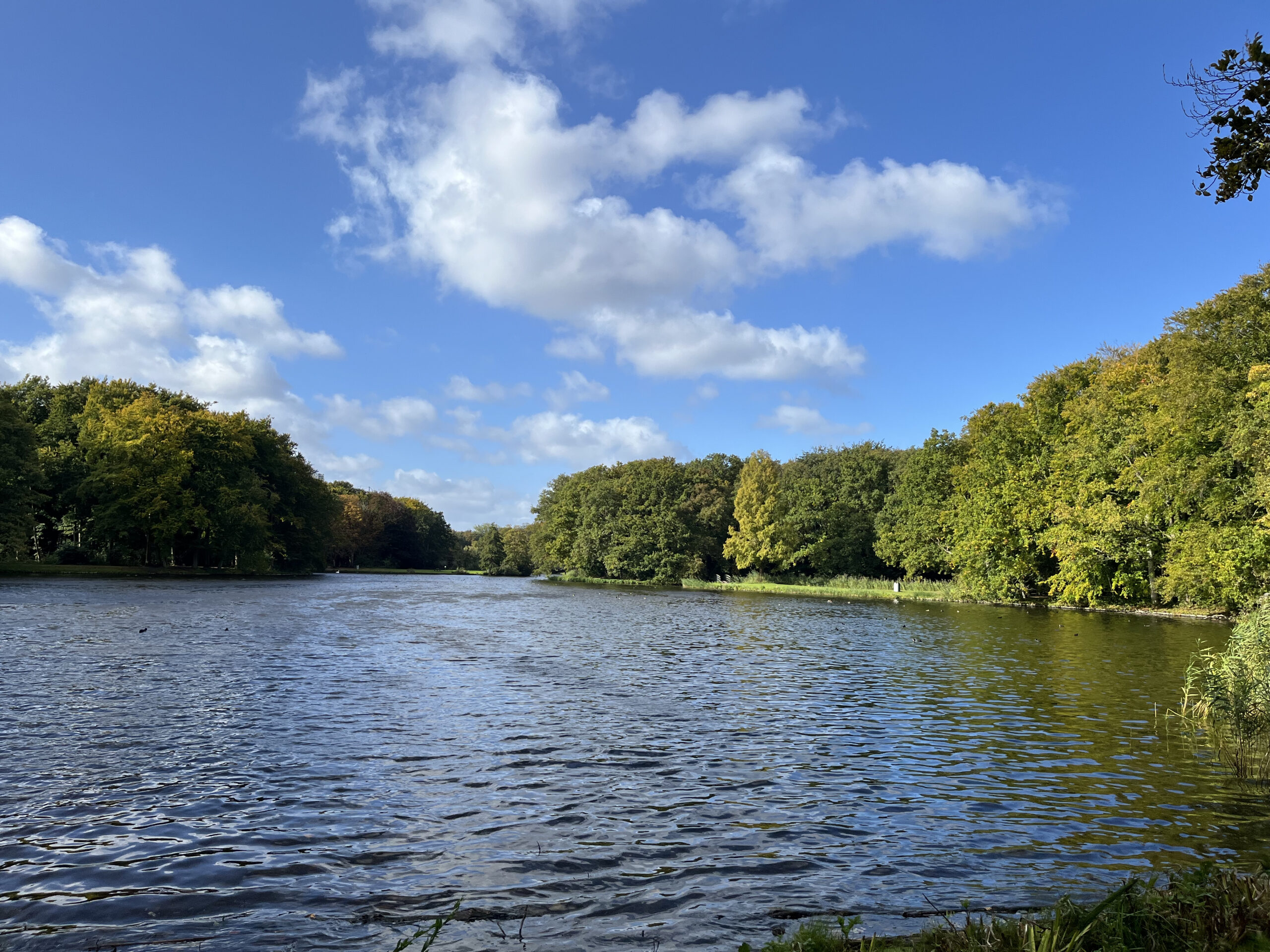 Heldere rivier omgeven door groene bomen onder een blauwe, bewolkte hemel.