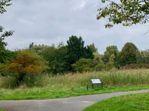 Wandelpad in een park met groene en herfstbomen, onder bewolkte lucht, infobord langs het pad.