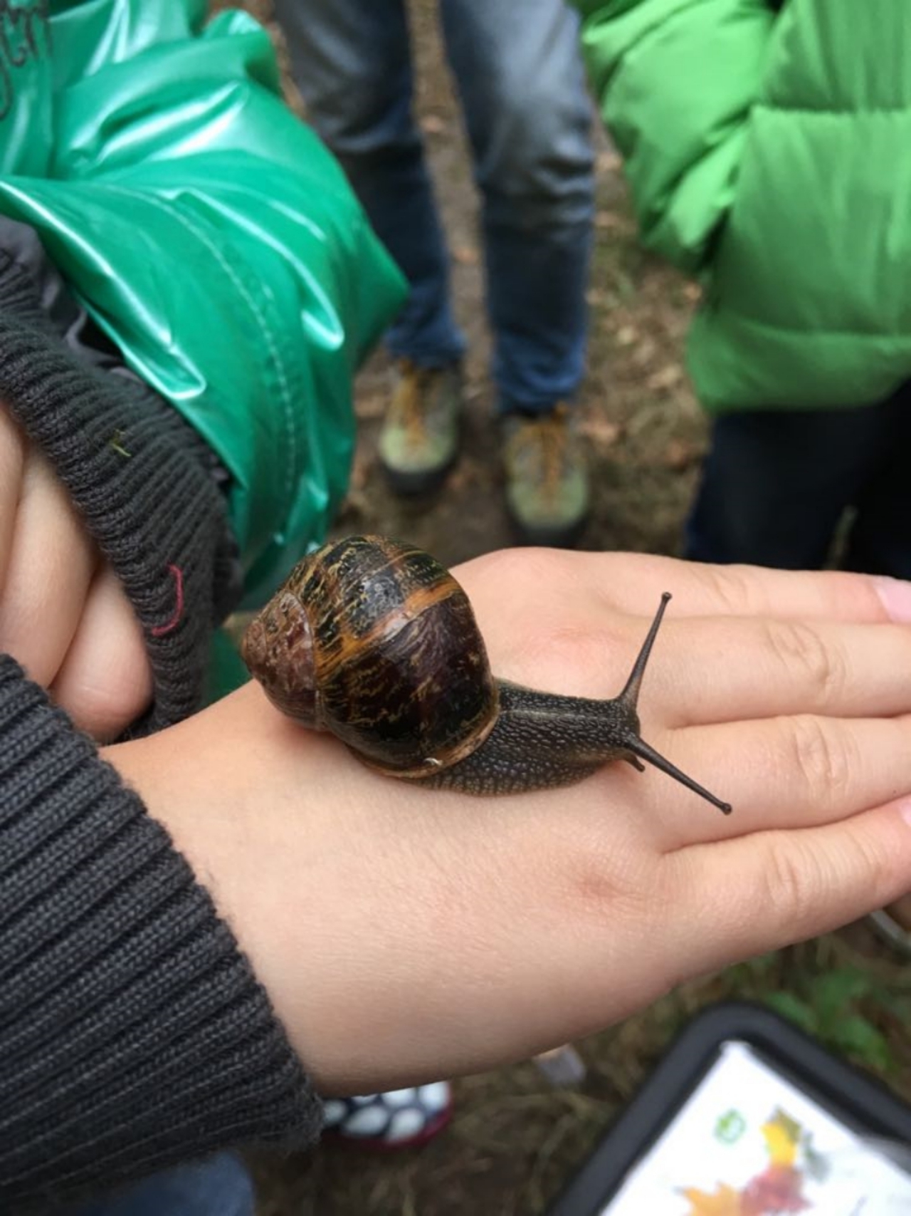 Natuurgidsenopleiding 2022